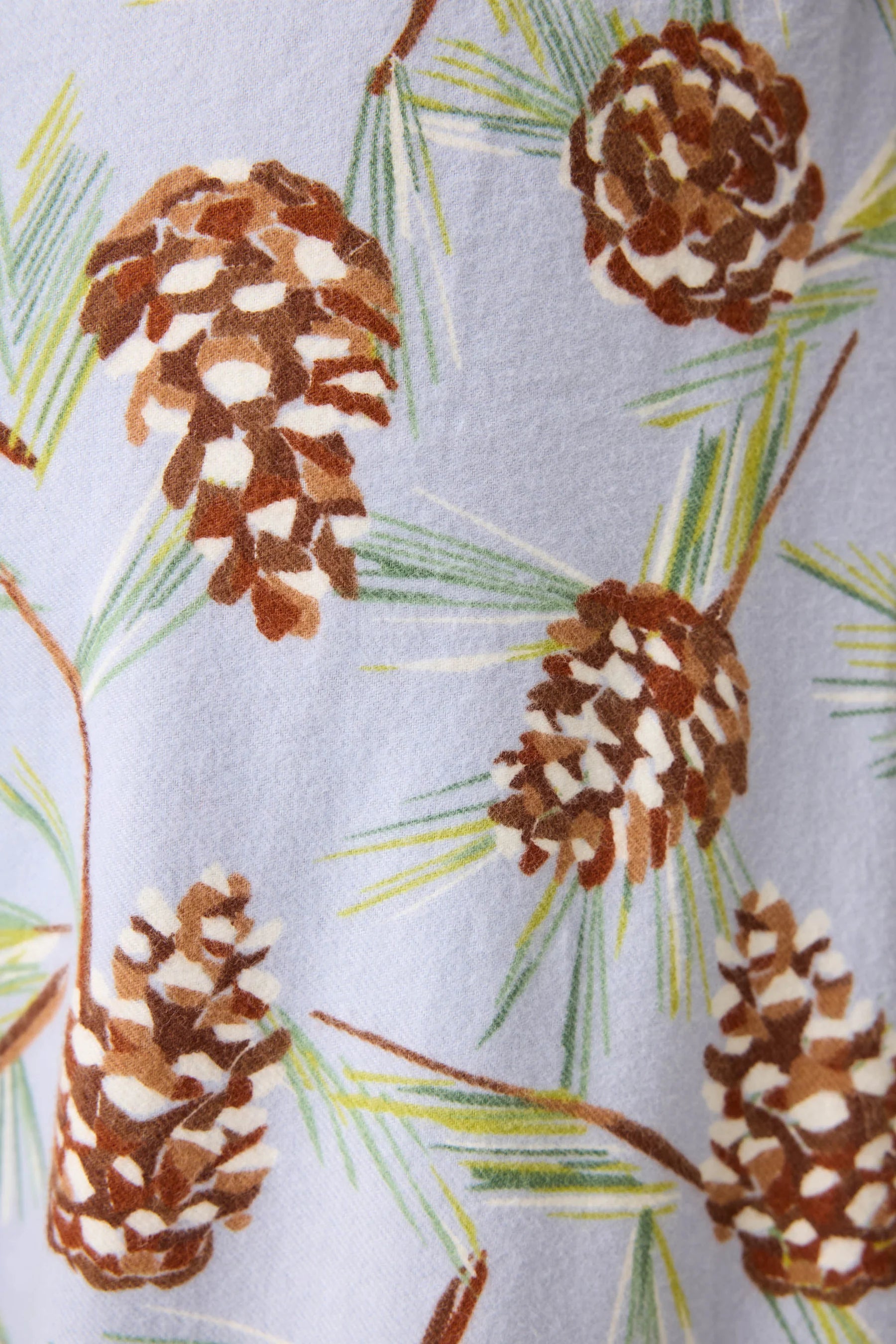 Pattern of pine cones and branches on a light blue background