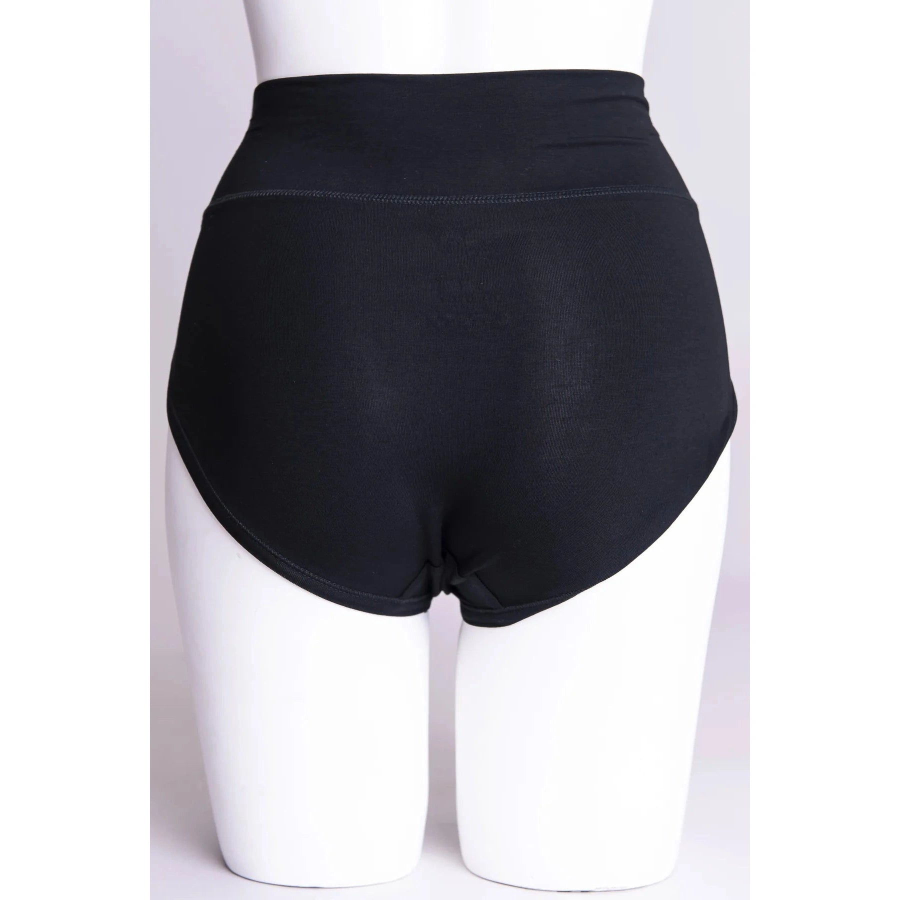 Blue Sky La Gaunche Full Brief in Black shown on a mannequin against a white background, from the back view.