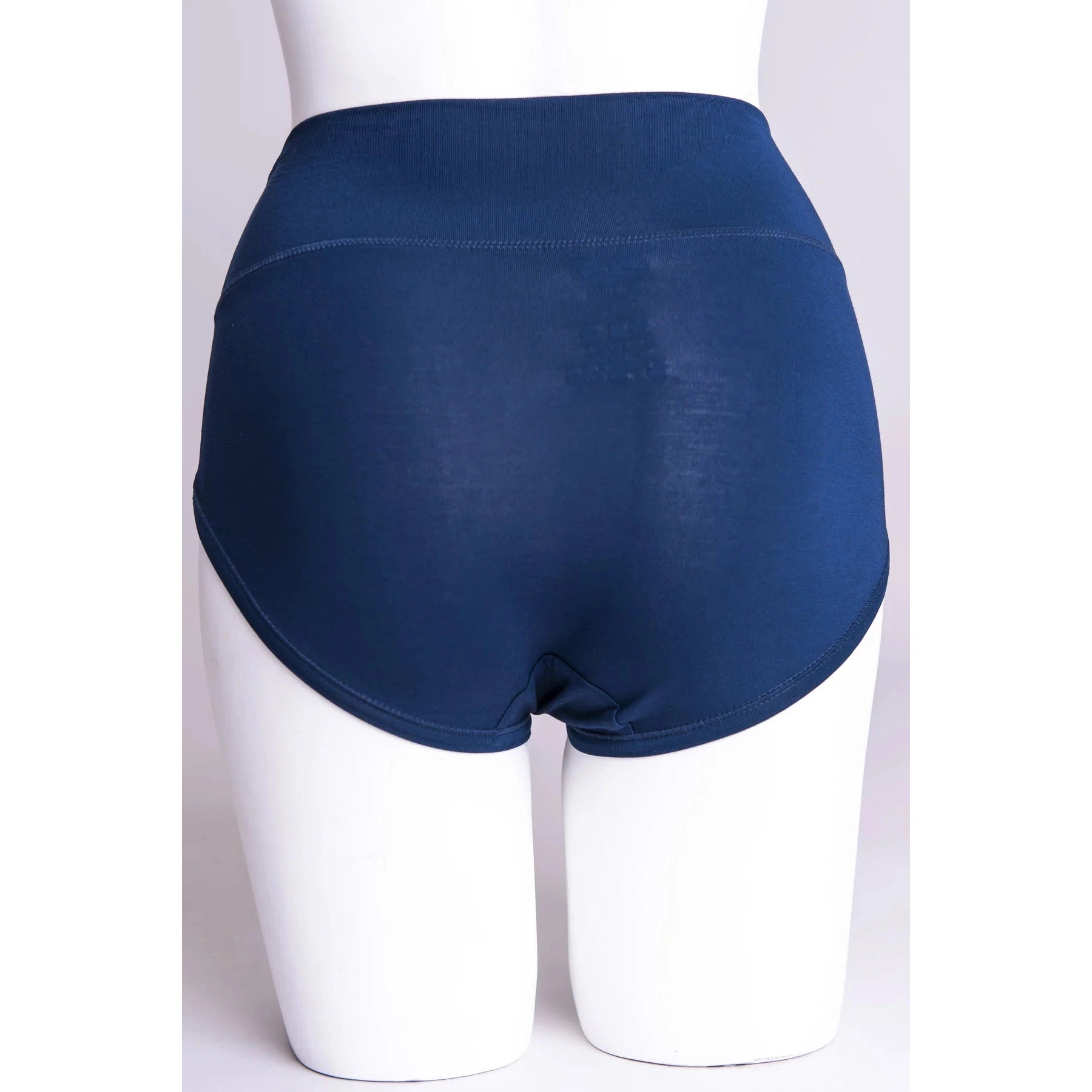 Blue Sky La Gaunche Full Brief in Indigo shown on a mannequin against a white background, from the back view.