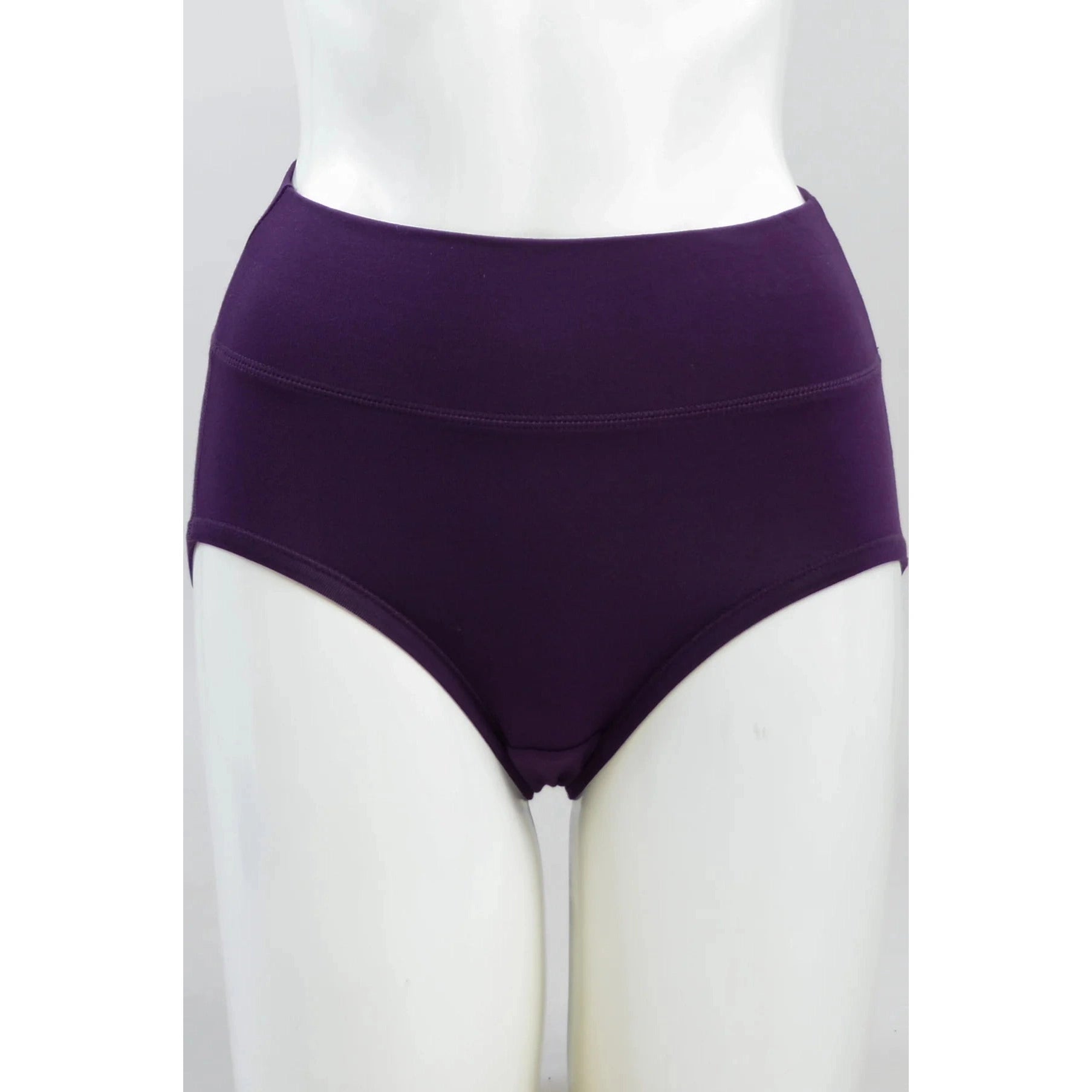 Blue Sky La Gaunche Full Brief in Royale purple shown on a mannequin against a white background, from the front view.