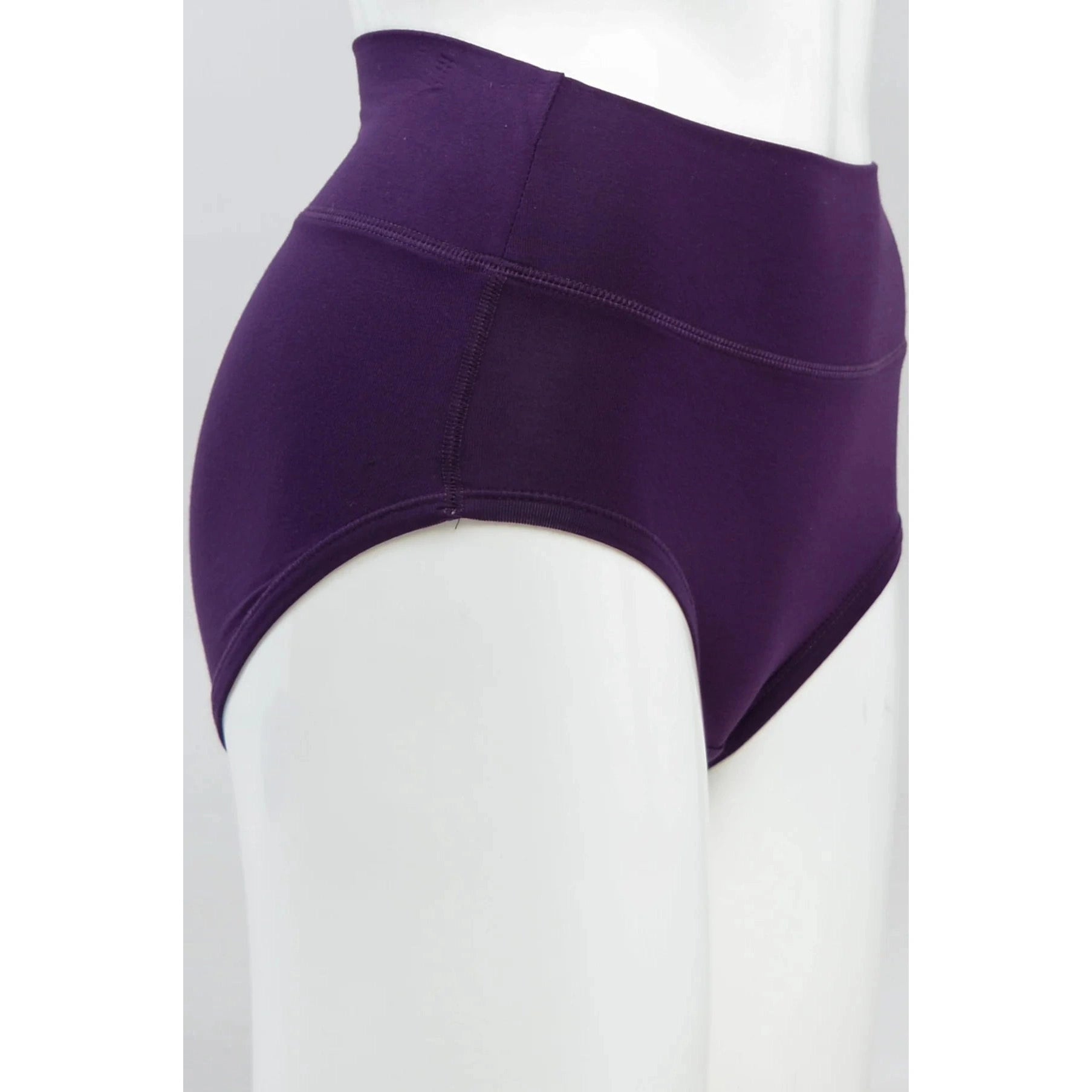Blue Sky La Gaunche Full Brief in Royale purple shown on a mannequin against a white background, from the side view.