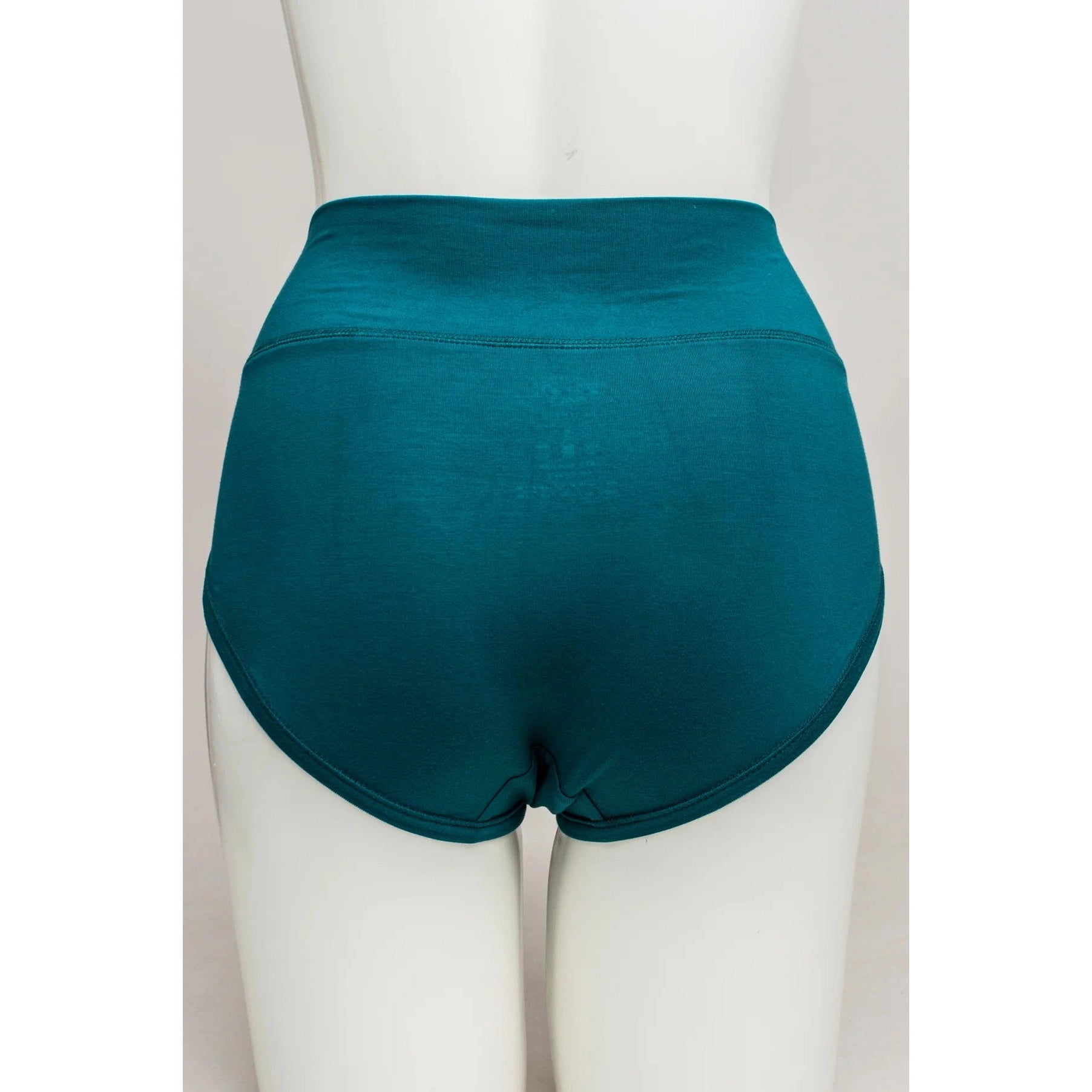 Blue Sky La Gaunche Full Brief in Teal shown on a mannequin against a white background, from the back view.