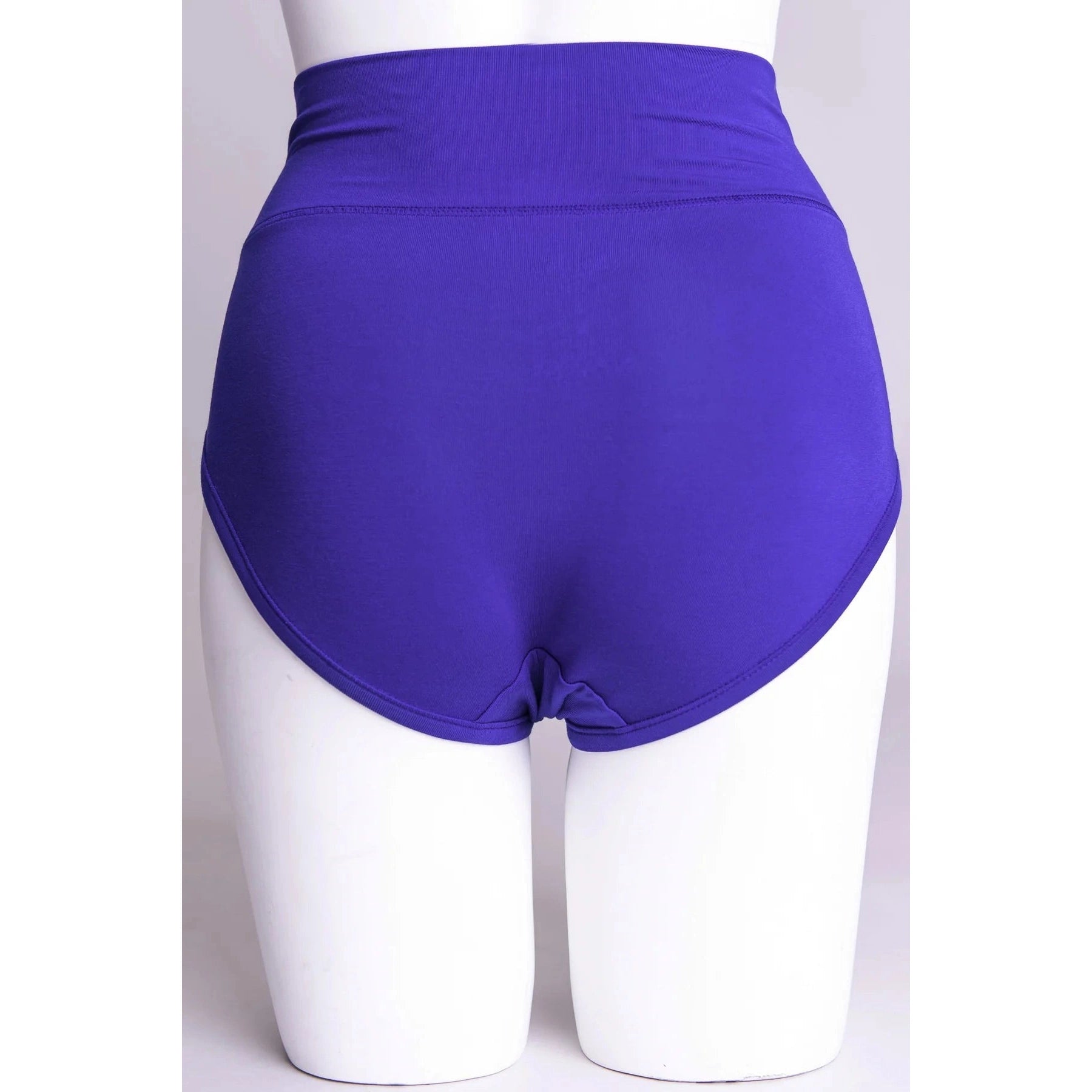 Blue Sky La Gaunche Full Brief in Violet, vibrant blue panty, shown on a mannequin against a white background, from the back view.