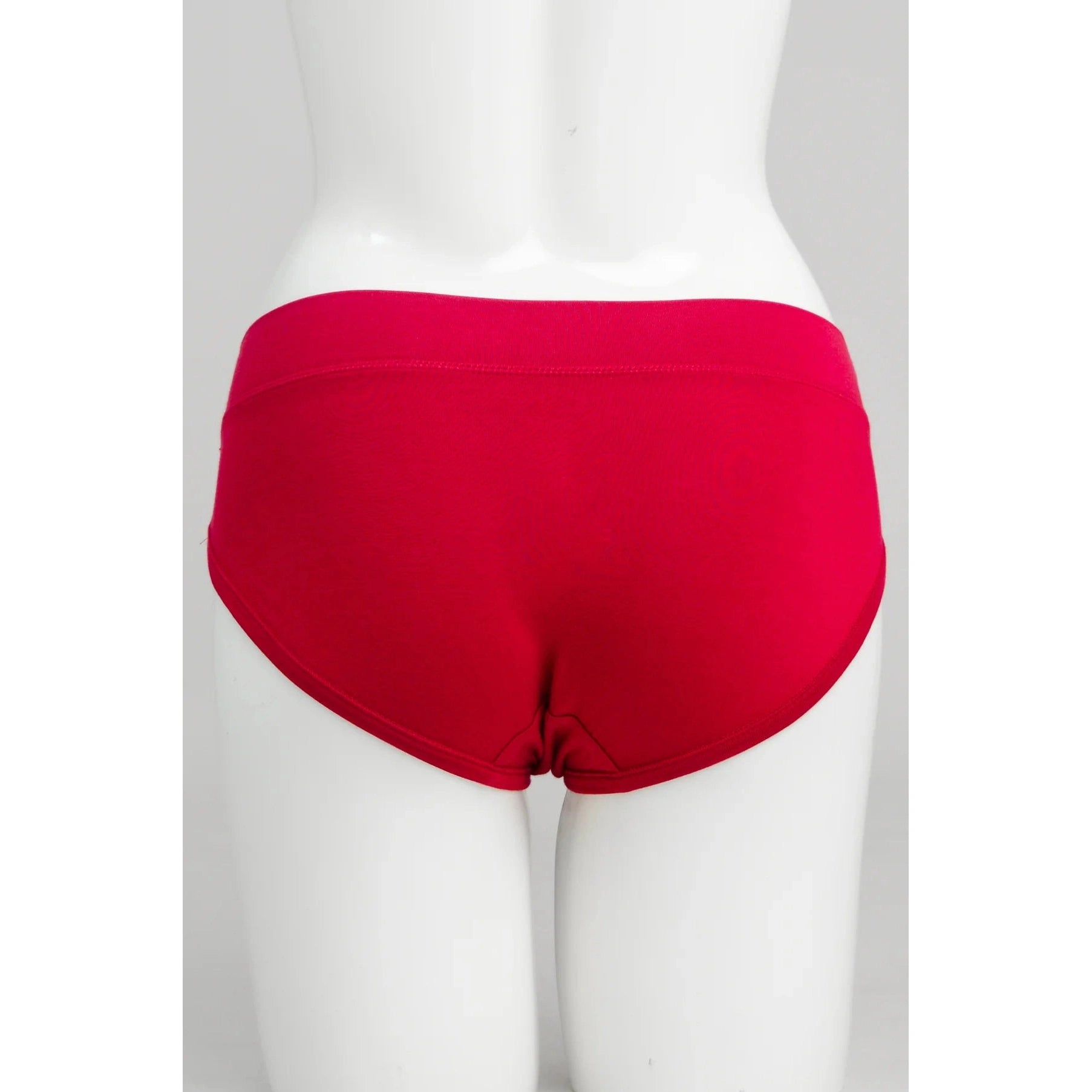 Blue Sky The Hipster panty in Lipstick Red shown on a mannequin against a white background, from the back view.