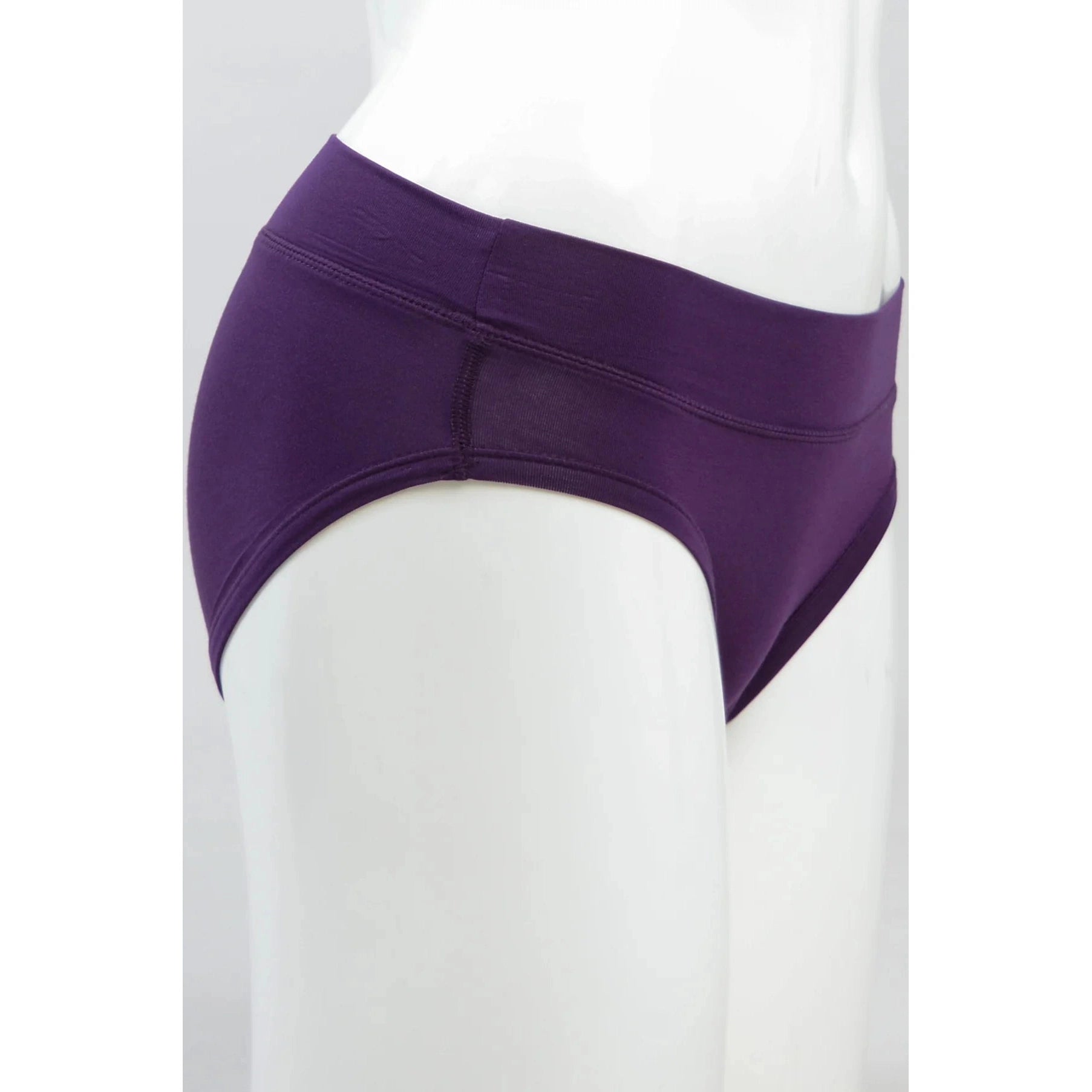Blue Sky The Hipster panty in Royale Purple shown on a mannequin against a white background, from the side view.