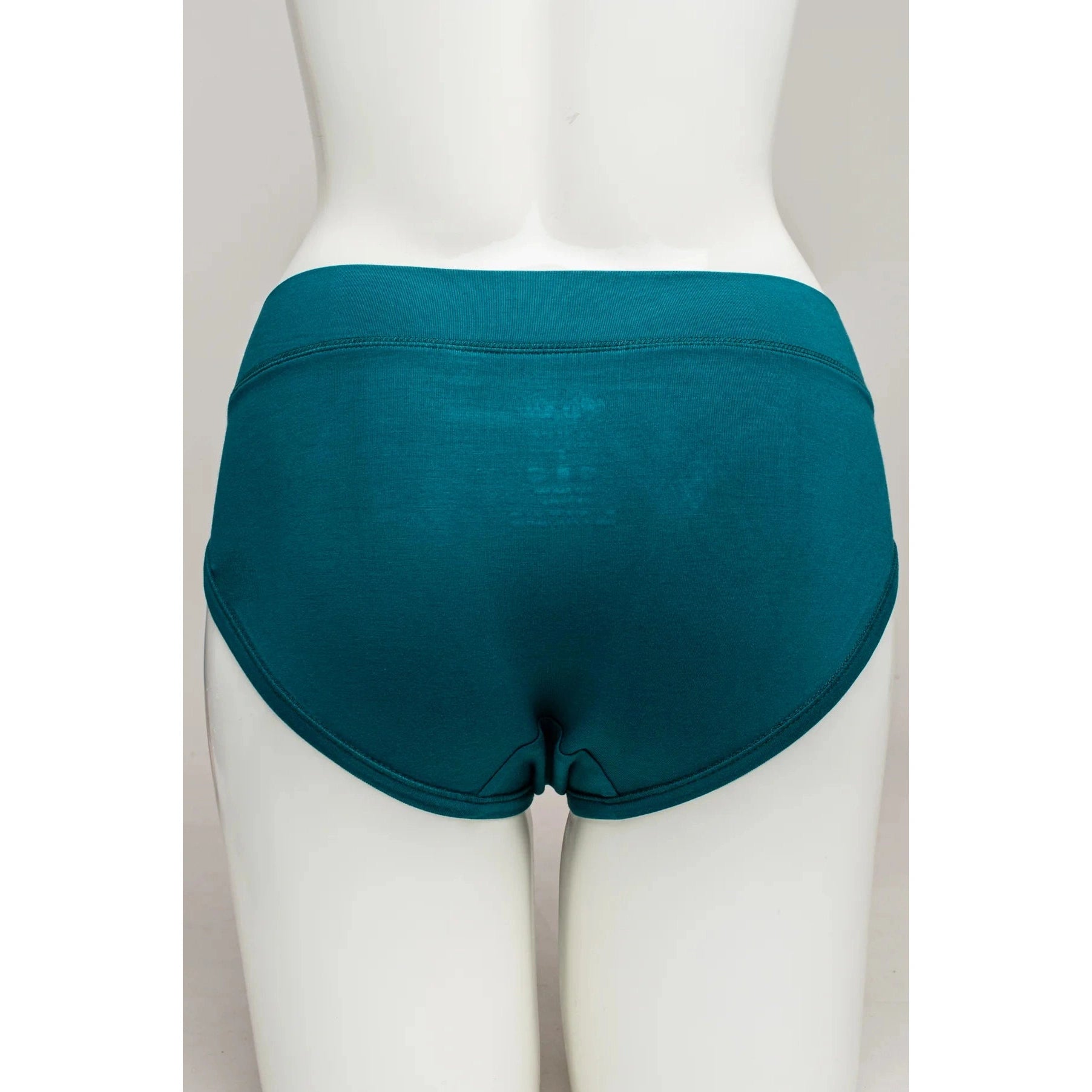 Blue Sky The Hipster panty in Teal shown on a mannequin, from the back view.