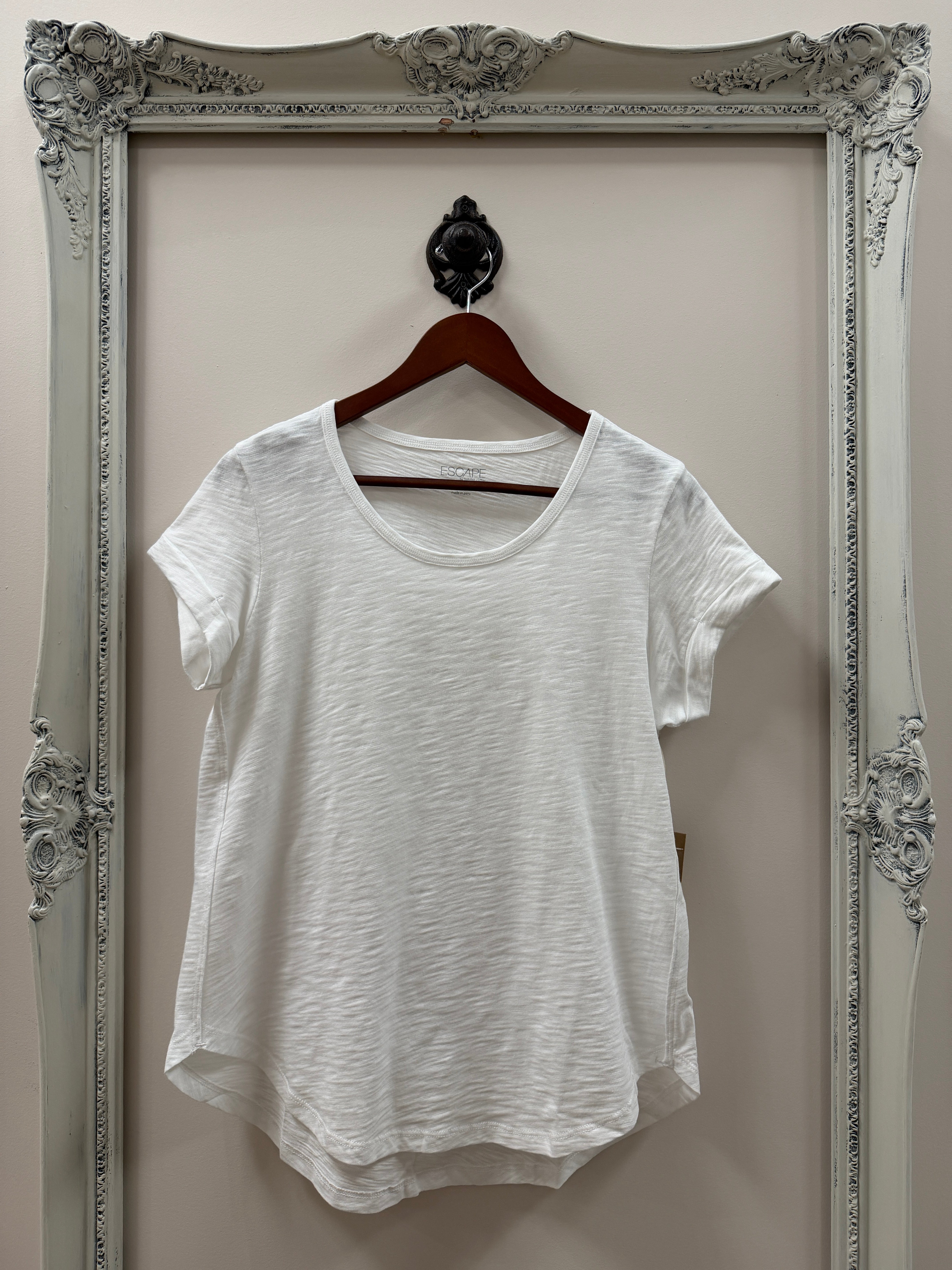 White t-shirt on a hanger against a decorative mirror frame.