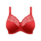 Elomi Morgan in Haute Red on white background. 