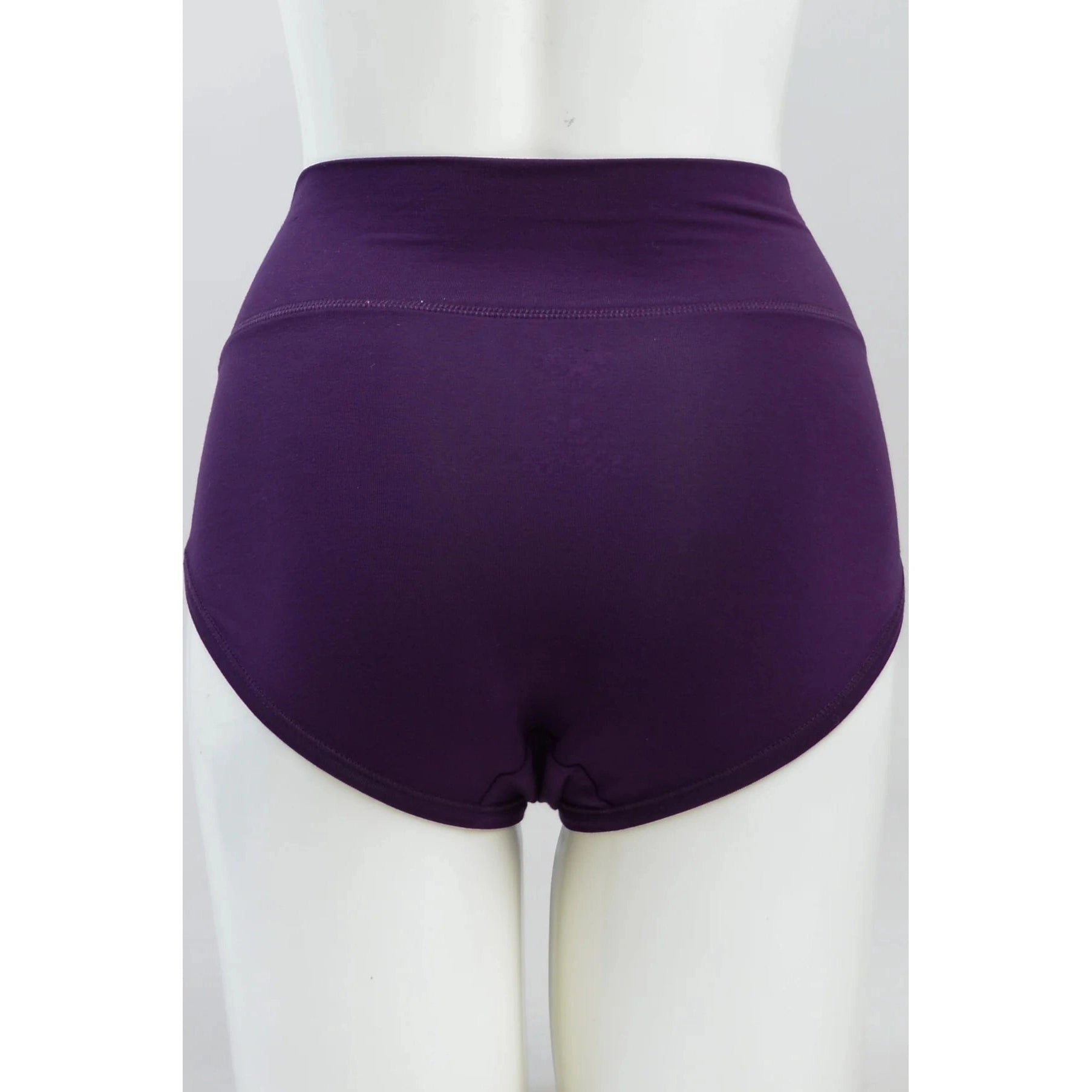 Blue Sky La Gaunche Full Brief in Royale purple shown on a mannequin against a white background, from the back view. 