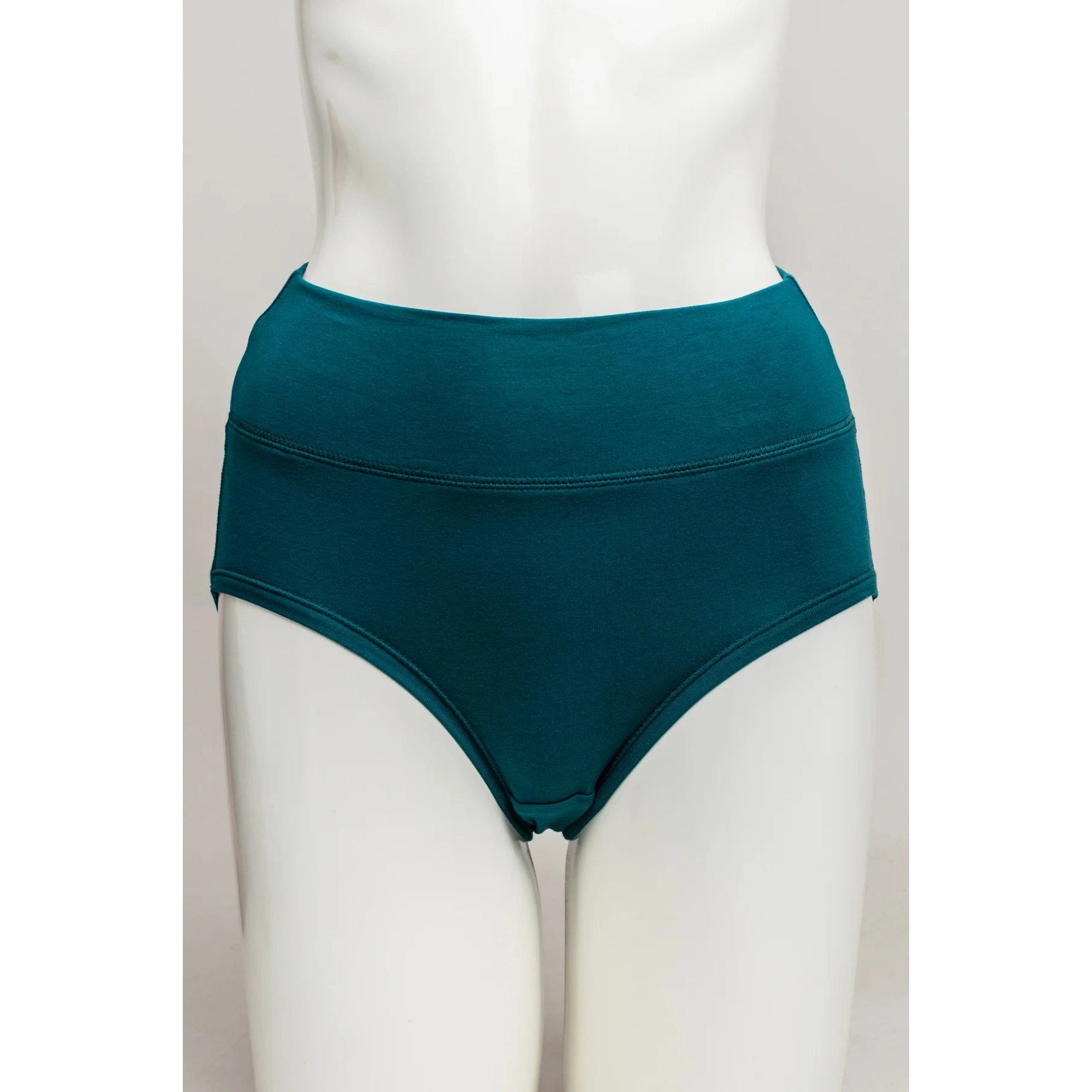 Blue Sky La Gaunche Full Brief in Teal shown on a mannequin against a white background, from the front view. 