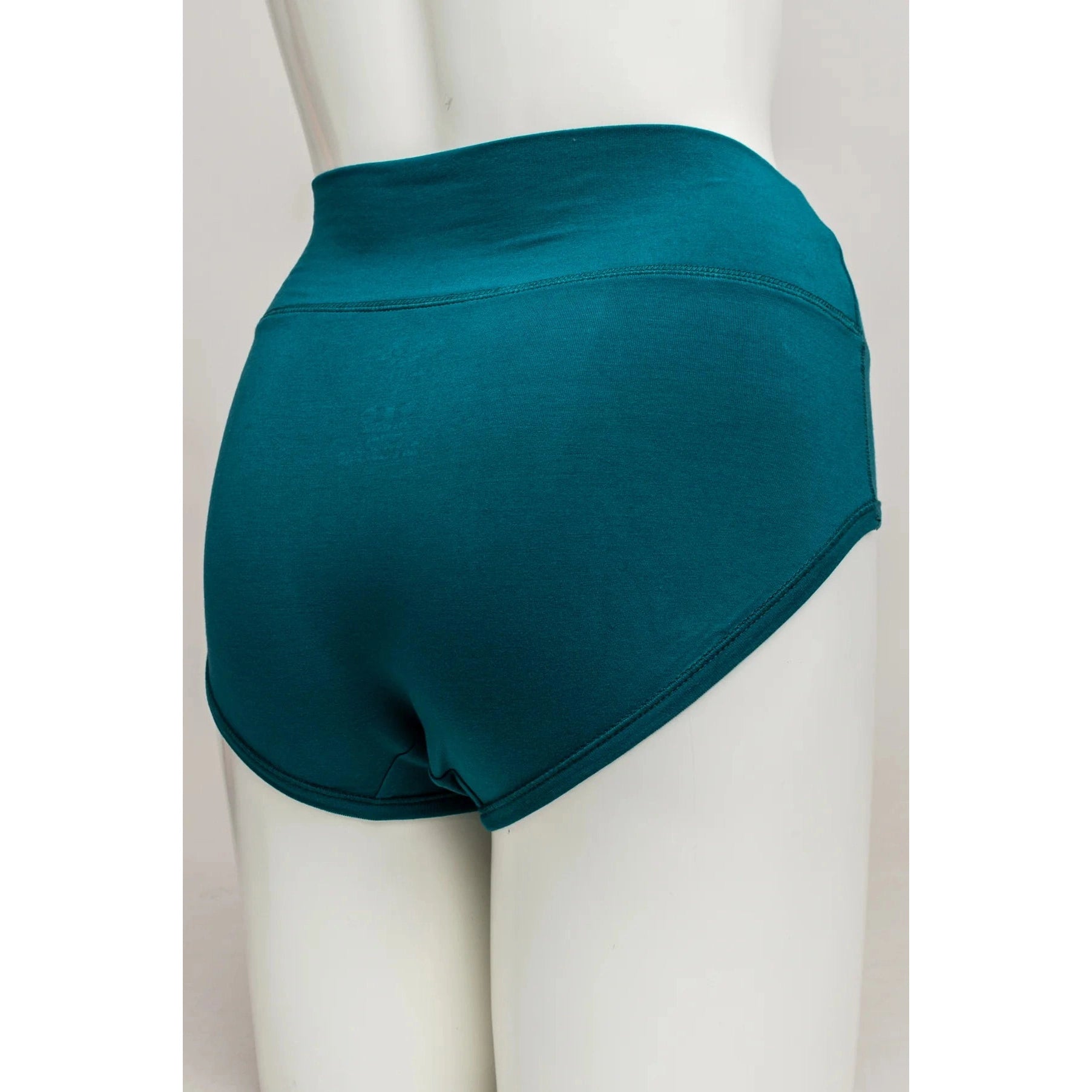 Blue Sky La Gaunche Full Brief in Teal shown on a mannequin against a white background, from the back view. 