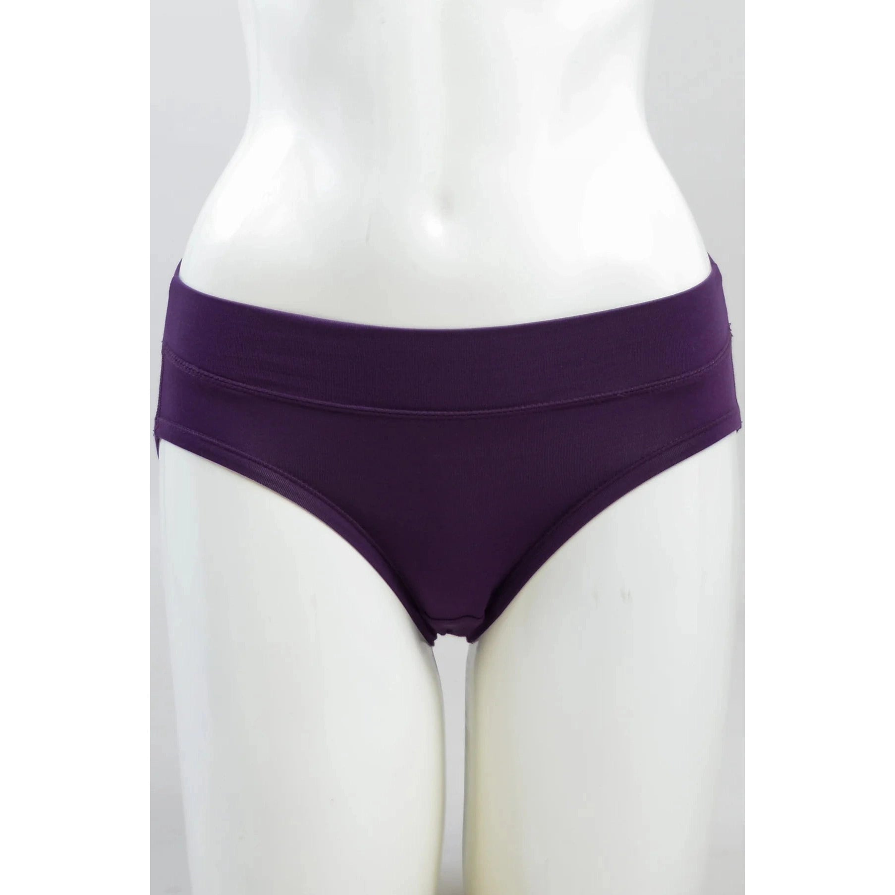 Blue Sky The Hipster panty in Royale Purple shown on a mannequin against a white background, from the front view. 