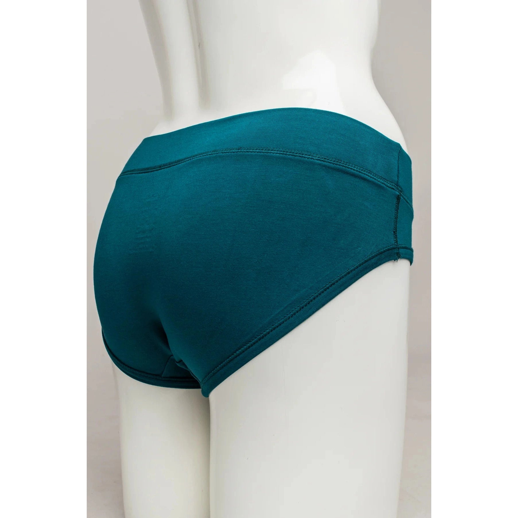 Blue Sky The Hipster panty in Teal shown on a mannequin, from the back view. 