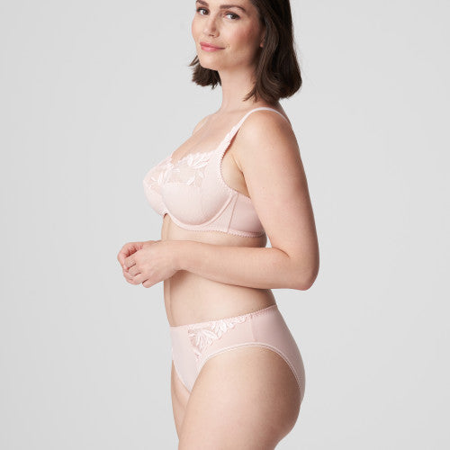 Orlando Rio Brief