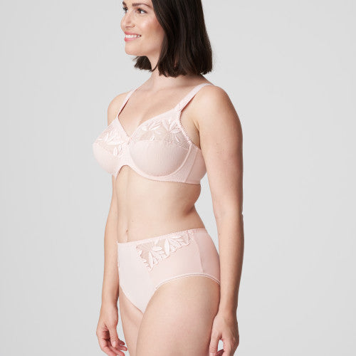 Orlando Full Brief